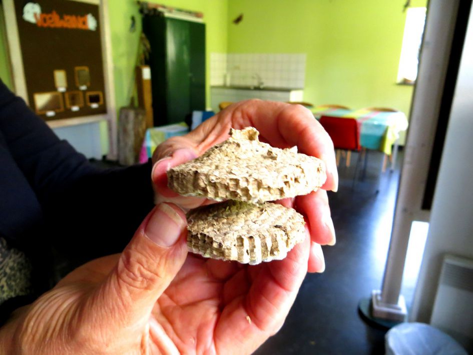 welke bij past hierbij ?